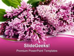 Lilac beauty powerpoint templates and powerpoint backgrounds 0311