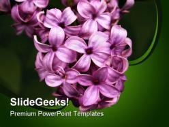 Lilacs nature powerpoint templates and powerpoint backgrounds 0311