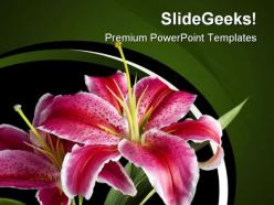 Lily flowers beauty powerpoint templates and powerpoint backgrounds 0311