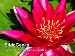 Lotus flower beauty powerpoint templates and powerpoint backgrounds 0311