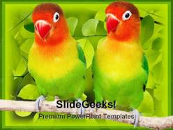 Love birds parrots animals powerpoint templates and powerpoint backgrounds 0111