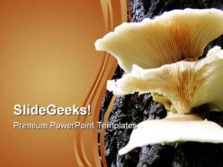 Mushrooms on tree food powerpoint templates and powerpoint backgrounds 0311