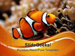 Nemo animals powerpoint templates and powerpoint backgrounds 0511