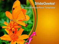 Orange butterfly nature powerpoint templates and powerpoint backgrounds 0211