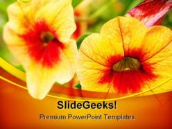 Orange flowers beauty powerpoint templates and powerpoint backgrounds 0211