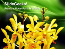 Orchids flower beauty powerpoint templates and powerpoint backgrounds 0511