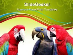 Parrot meeting animals powerpoint templates and powerpoint backgrounds 0611