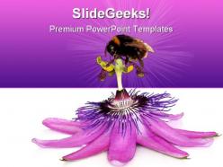 Pink flower and bumblebee nature powerpoint templates and powerpoint backgrounds 0611