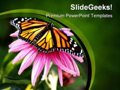 Pink flower and butterfly animals powerpoint templates and powerpoint backgrounds 0111