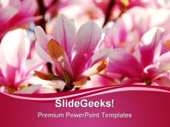 Pomegranate flowers nature powerpoint templates and powerpoint backgrounds 0211