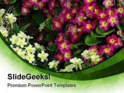 Primroses beauty powerpoint templates and powerpoint backgrounds 0311
