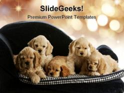 Puppies animals powerpoint templates and powerpoint backgrounds 0111