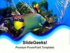 Queen angel fish animals powerpoint templates and powerpoint backgrounds 0211