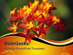 Red orchid nature powerpoint templates and powerpoint backgrounds 0611