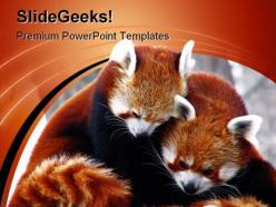 Red pandas cuddling animals powerpoint templates and powerpoint backgrounds 0211