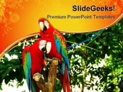 Red parrots animals powerpoint templates and powerpoint backgrounds 0611