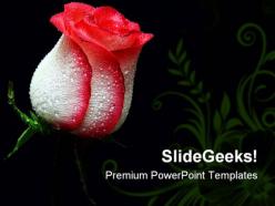 Red rose beauty powerpoint templates and powerpoint backgrounds 0611