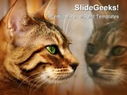Reflections animals powerpoint templates and powerpoint backgrounds 0211