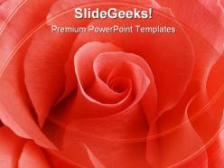 Rose01 beauty powerpoint templates and powerpoint backgrounds 0711
