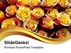 Roses01 beauty powerpoint templates and powerpoint backgrounds 0411