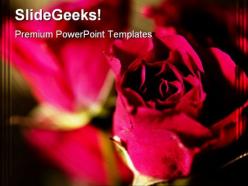 Roses beauty powerpoint templates and powerpoint backgrounds 0311
