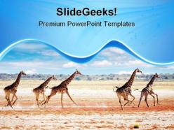 Running giraffes animals powerpoint templates and powerpoint backgrounds 0611