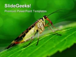 Scorpionfly nature powerpoint templates and powerpoint backgrounds 0111
