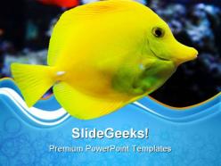 Seawater butterflyfish animals powerpoint templates and powerpoint backgrounds 0611