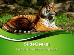 Siberian tiger animals powerpoint templates and powerpoint backgrounds 0611