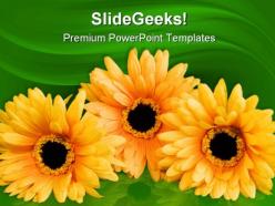 Silk flowers beauty powerpoint templates and powerpoint backgrounds 0211
