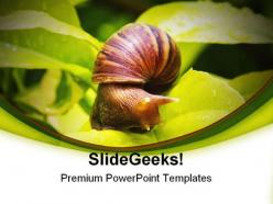 Snail animals powerpoint templates and powerpoint backgrounds 0111