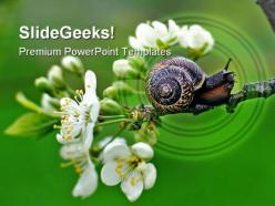 Snail nature powerpoint templates and powerpoint backgrounds 0111