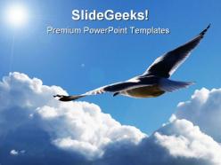 Soaring through the clouds animals powerpoint templates and powerpoint backgrounds 0811