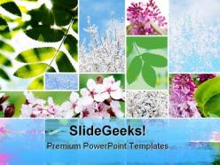 Springtime flowers nature powerpoint templates and powerpoint backgrounds 0811