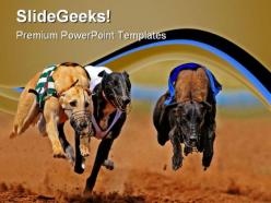 Sprinting greyhounds animals powerpoint templates and powerpoint backgrounds 0811