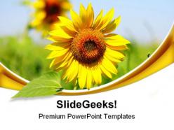 Sunflower beauty powerpoint templates and powerpoint backgrounds 0511