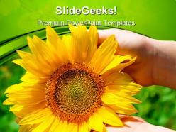 Sunflower in female hands nature powerpoint templates and powerpoint backgrounds 0411