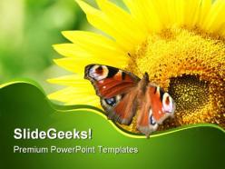 Sunflower with butterfly nature powerpoint templates and powerpoint backgrounds 0211