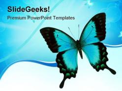 Swallowtail butterfly animals powerpoint templates and powerpoint backgrounds 0811