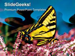 Swallowtail Butterfly Nature PowerPoint Templates And PowerPoint Backgrounds 0511