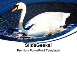 Swan animals powerpoint templates and powerpoint backgrounds 0411