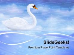 Swan reflecting in water animals powerpoint templates and powerpoint backgrounds 0711