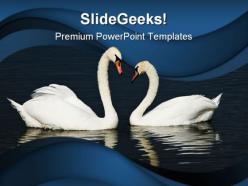 Swans beach powerpoint templates and powerpoint backgrounds 0111