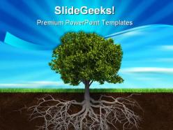 The tree and roots nature powerpoint templates and powerpoint backgrounds 0411