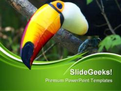 Toucan animals powerpoint templates and powerpoint backgrounds 0511