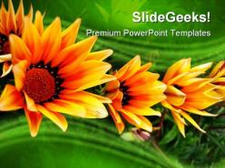 Triplet nature powerpoint templates and powerpoint backgrounds 0211