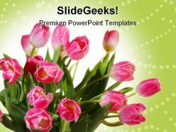 Tulips bouquet beauty powerpoint templates and powerpoint backgrounds 0211