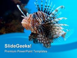 Turkey fish animal powerpoint backgrounds and templates 1210