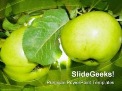 Two apples in a tree nature powerpoint templates and powerpoint backgrounds 0211