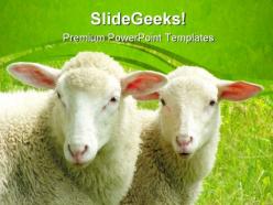 Two sheep nature powerpoint templates and powerpoint backgrounds 0411